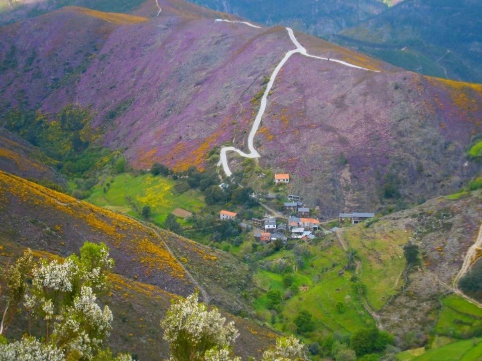Quinta Da Ribeirinha Leilighet Arouca Eksteriør bilde