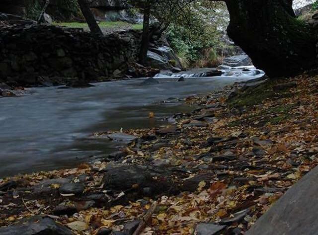 Quinta Da Ribeirinha Leilighet Arouca Eksteriør bilde