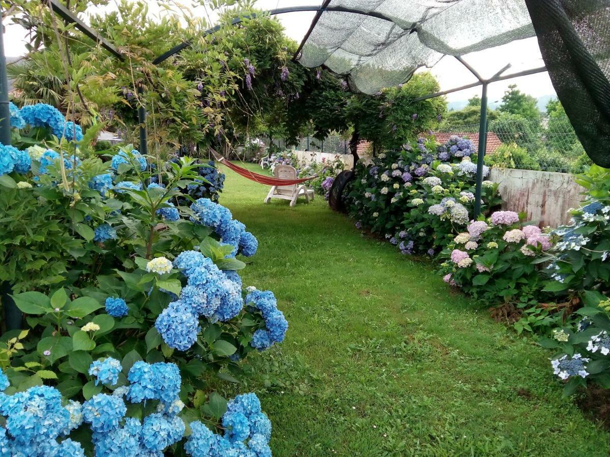 Quinta Da Ribeirinha Leilighet Arouca Eksteriør bilde