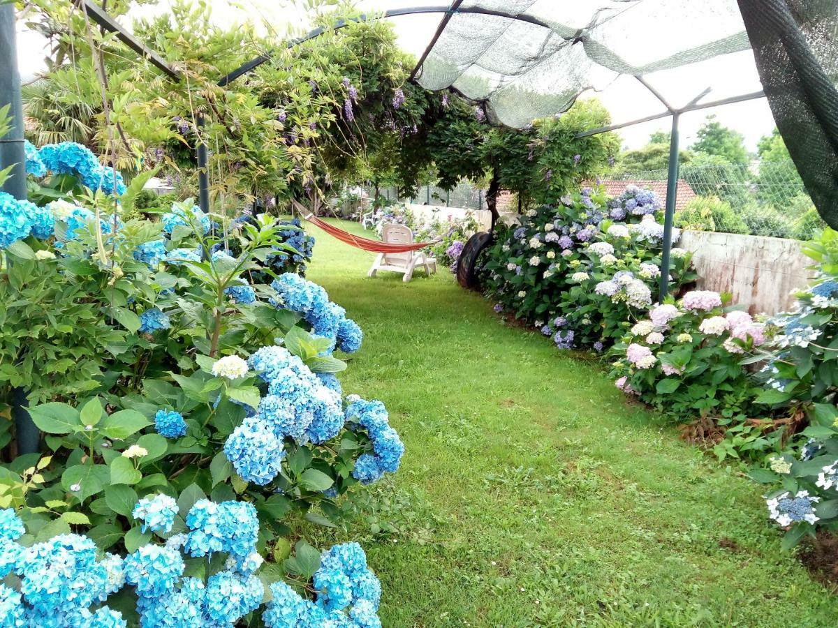 Quinta Da Ribeirinha Leilighet Arouca Eksteriør bilde